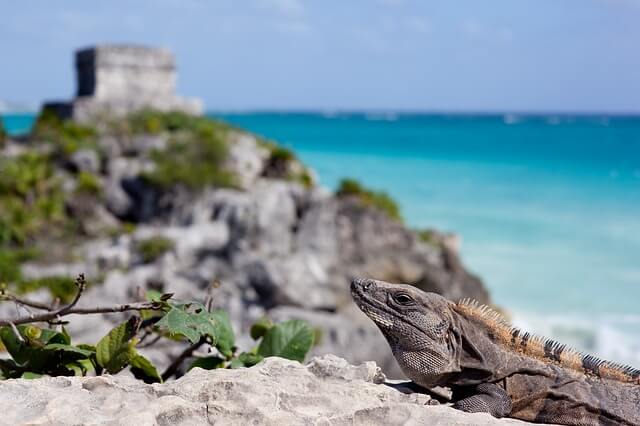 Diferencia Horaria Entre España Y Riviera Maya