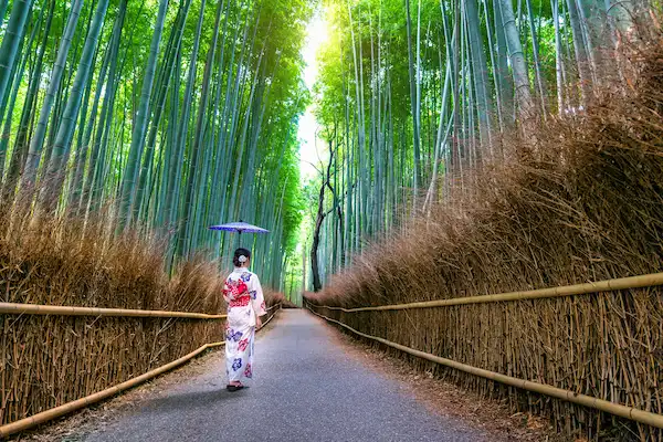 viaje a japon antiguo organizado