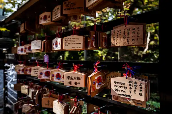 viaje a japón todo organizado desde málaga
