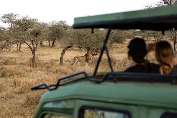 viajes a africa desde málaga, Safari en África