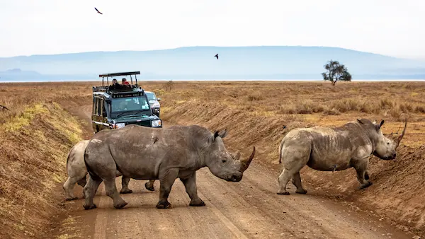 combinaciones viajes a africa desde Málaga, Safari Tanzania y Kenia