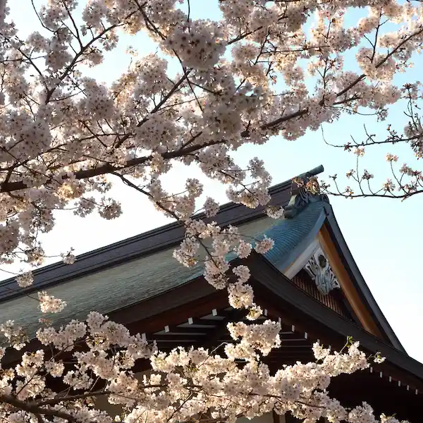 viajes a japón desde málaga
