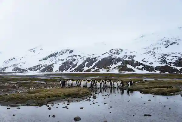viajar a islandia nevado