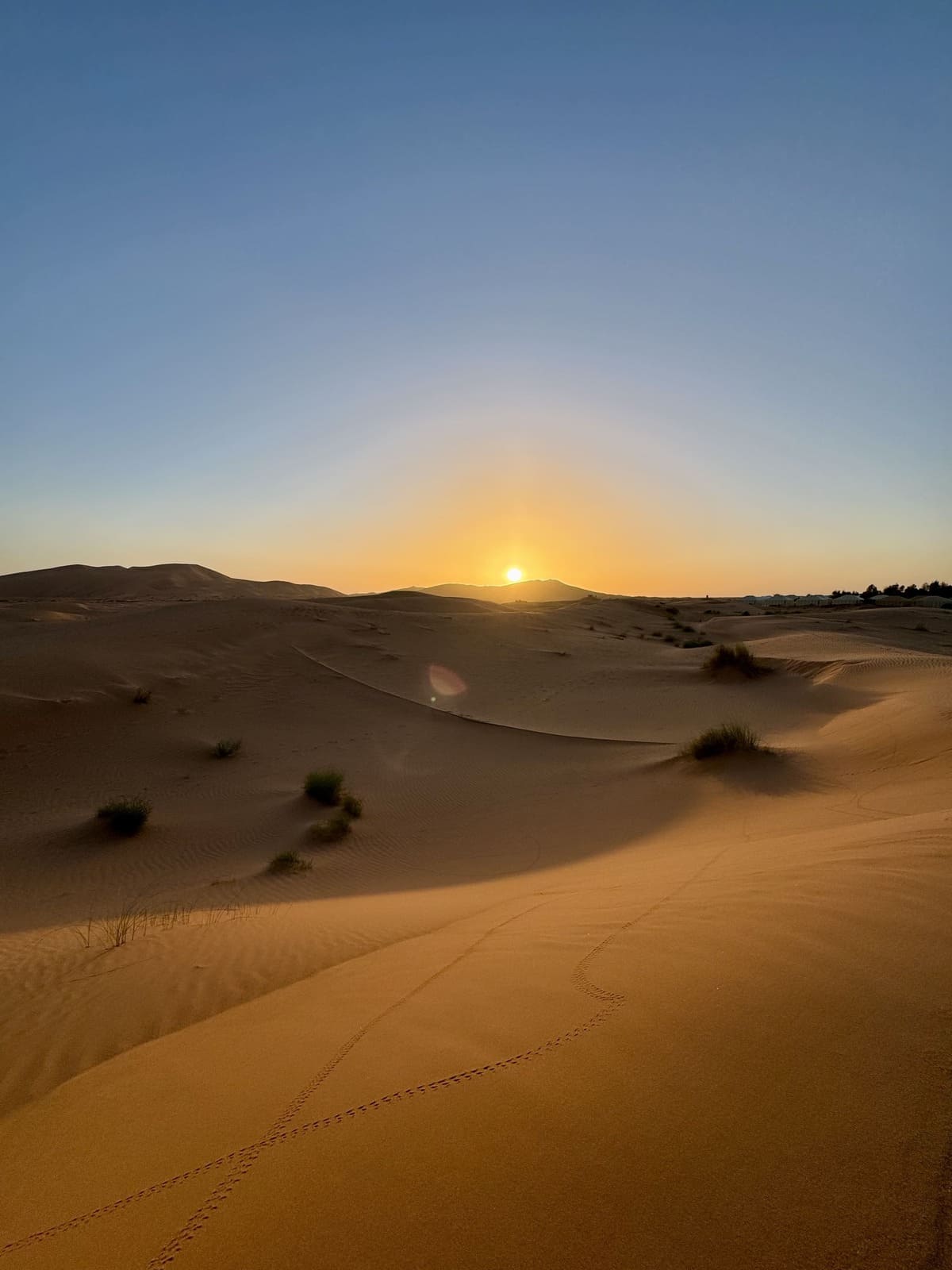 IMG_4303 (1) (1) (1)