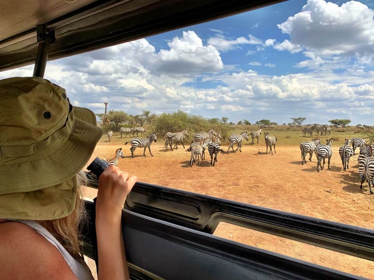 safari viaje
